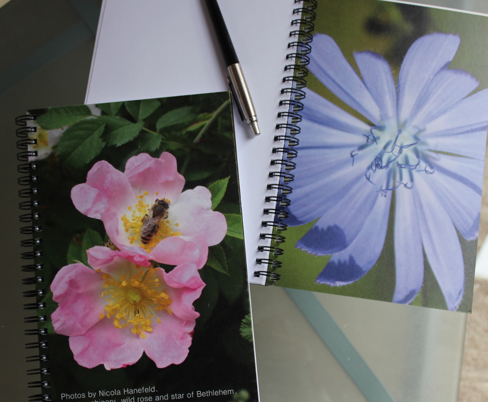 Bach flower remedy blog 1